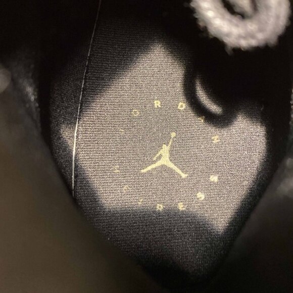 Jordan Retro 11 Heiress - Picture 8 of 9